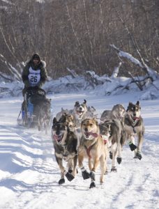 KANADAS STÄDTENAMEN – WHITEHORSE 6 Whitehorse d