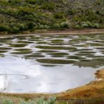 Okanagan Spotted Lake