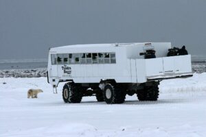 Tundra buggy