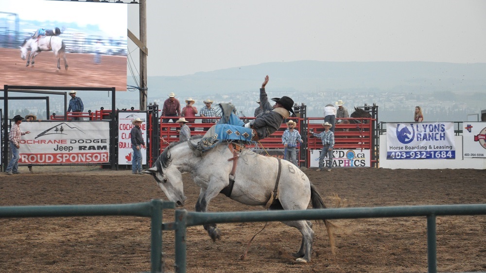 County Fair Ira 8