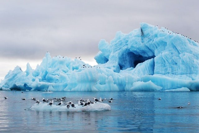 Iceberg Peter Iden 3
