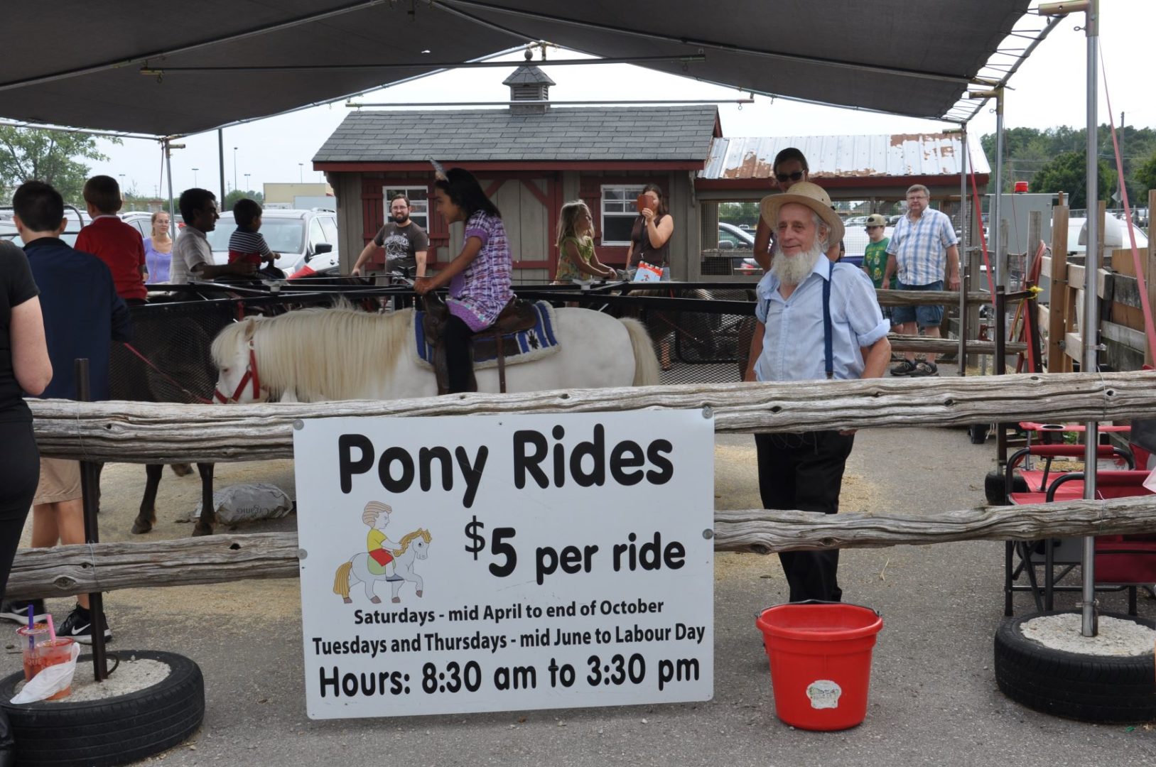 Market ponies