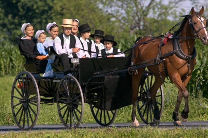 Mennonites