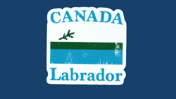 02 08 Labrador Flag 1