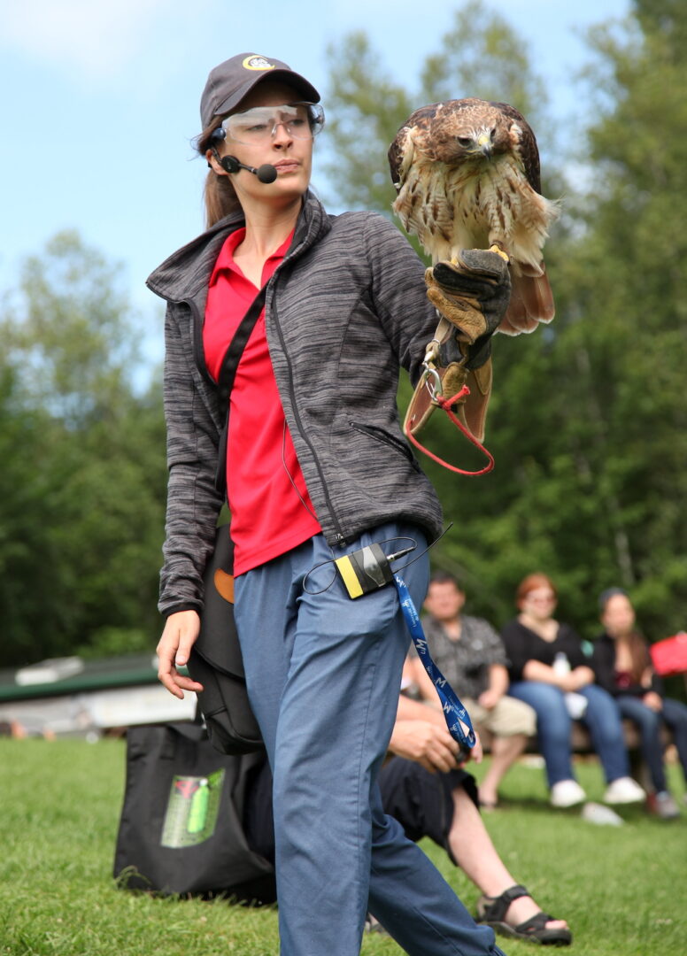 Chouette a voir Flugschau Saint Hyacinthe